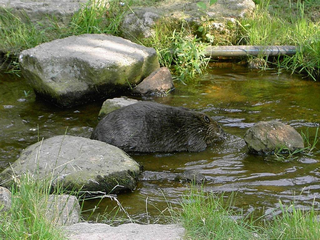 Ferienwohnung Brunner - Haus Am See Nagel Bagian luar foto